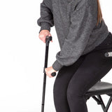 Twin Handled Walking Stick