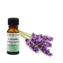 Manor Grove Lavender Essential Oil